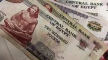 موعد الصرف الرسمي.. خريطة توزيع رواتب شهر فبراير لجميع العاملين بالدولة